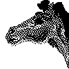 Dog by Owl